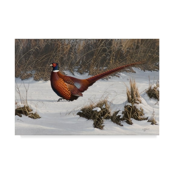 Trademark Fine Art 'Winter Walk Pheasant' Canvas Art by Wilhelm Goebel