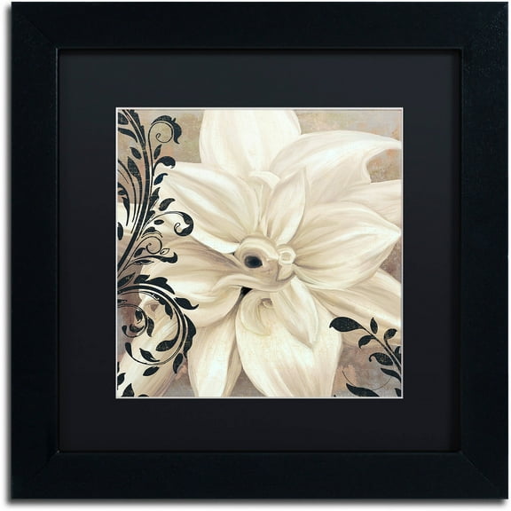 Trademark Fine Art "Winter White II" Canvas Art by Color Bakery Black Matte, Black Frame