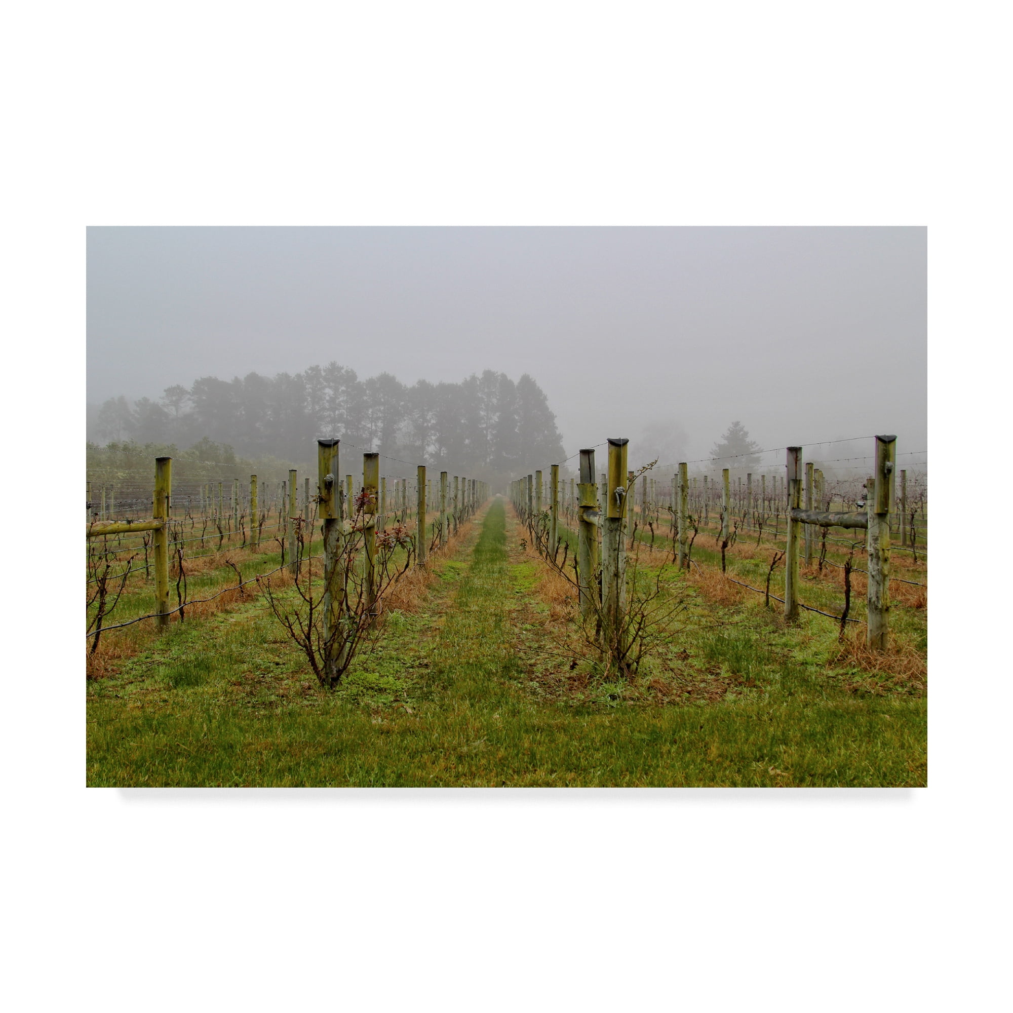 Trademark Fine Art 'Winter Winyard Iii' Canvas Art by Incredi