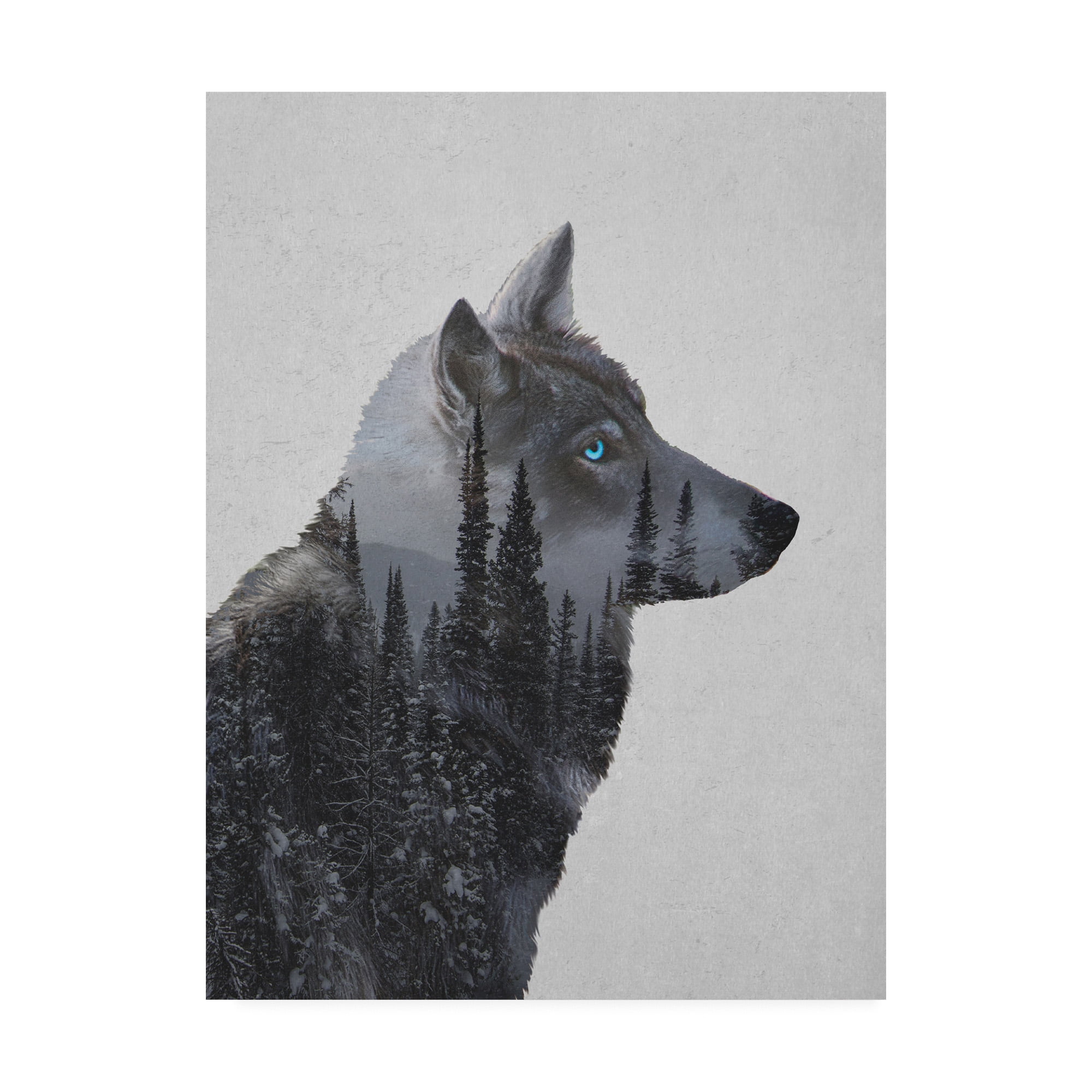 Trademark Fine Art 'Winter Wolf Gray' Canvas Art by Davies Babies