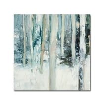 Trademark Fine Art 'Winter Woods I' Canvas Art by Julia Purinton