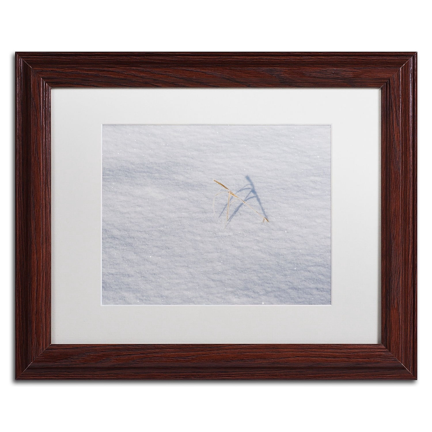 Trademark Fine Art "Winters Bleak Beauty" Canvas Art by Kurt Shaffer White Mat, Wood Frame