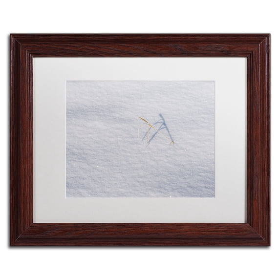 Trademark Fine Art "Winters Bleak Beauty" Canvas Art by Kurt Shaffer White Mat, Wood Frame