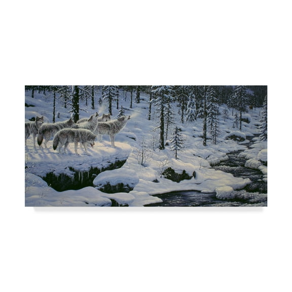 Trademark Fine Art 'Winters Cry' Canvas Art by Jeff Tift