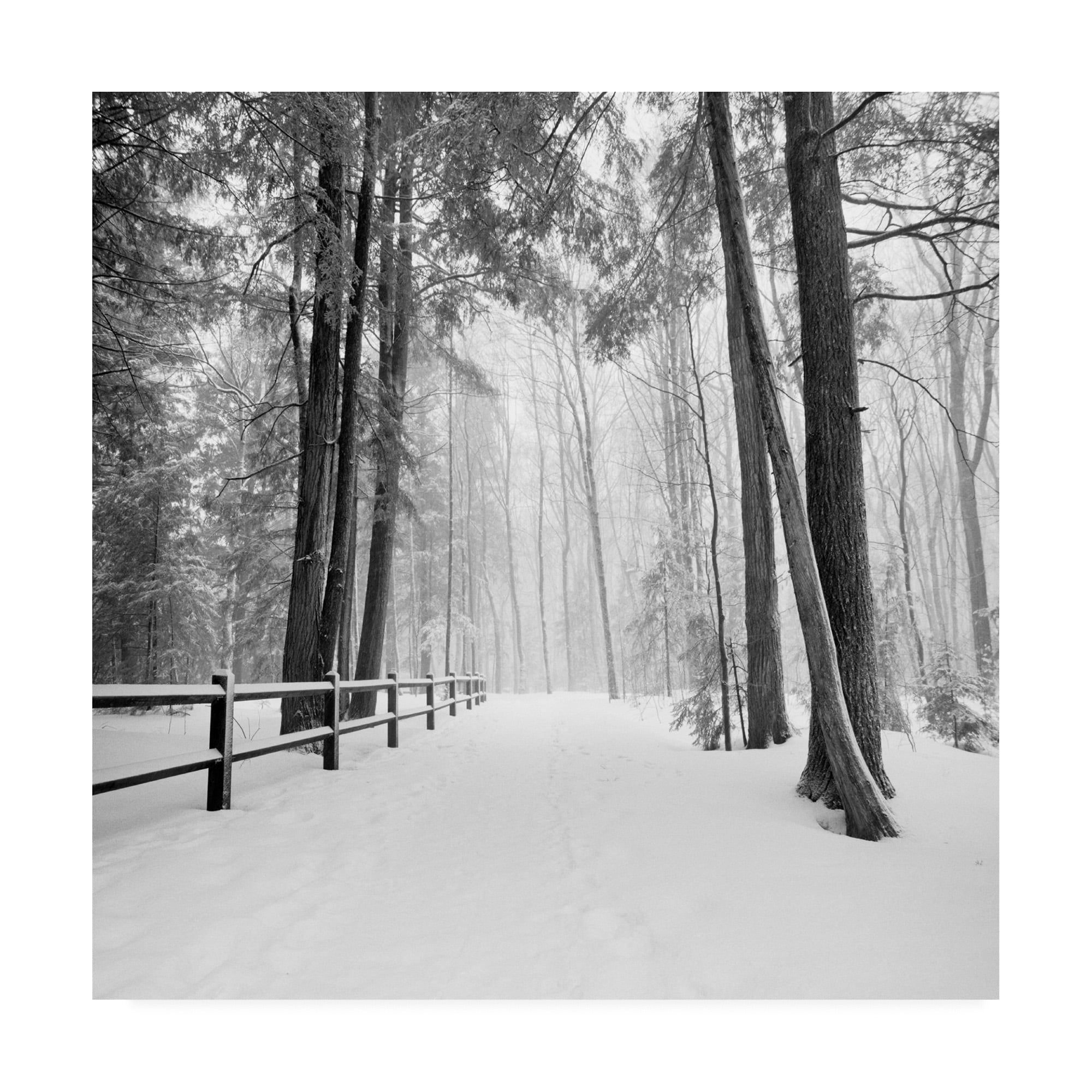 14 x 14 Black and White Winter Landscape Canvas Print