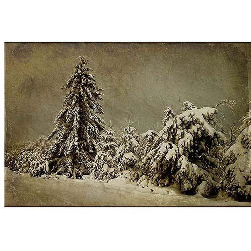 Trademark Fine Art "Winters Wrath" Canvas Art by Lois Bryan