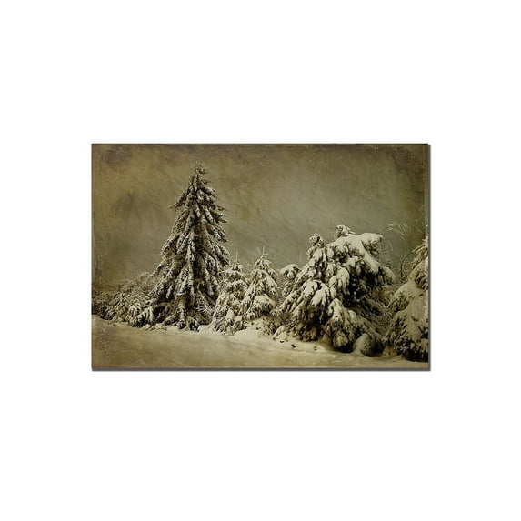 Trademark Fine Art "Winters Wrath" Canvas Art by Lois Bryan