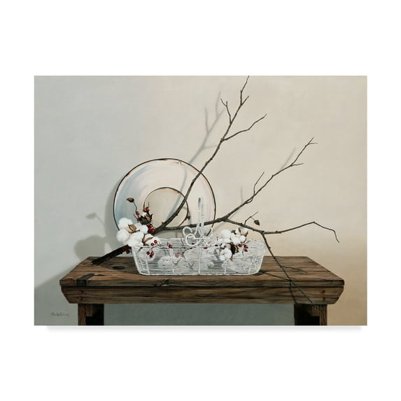 Trademark Fine Art 'Wire Basket With Cotton' Canvas Art by Cecile Baird