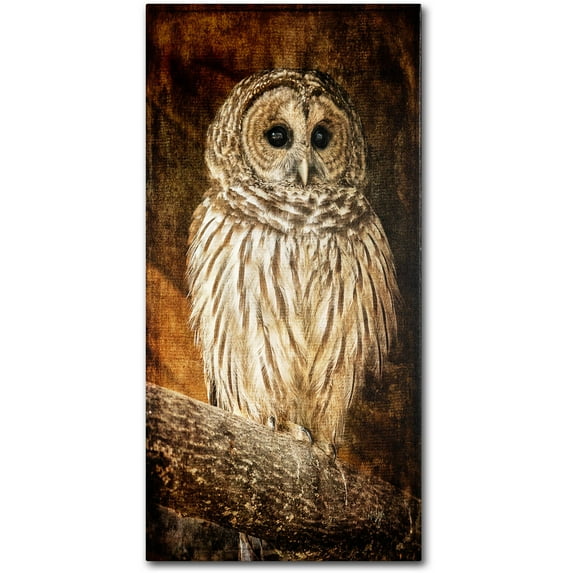 Trademark Fine Art "Wisdom" Canvas Art by Lois Bryan