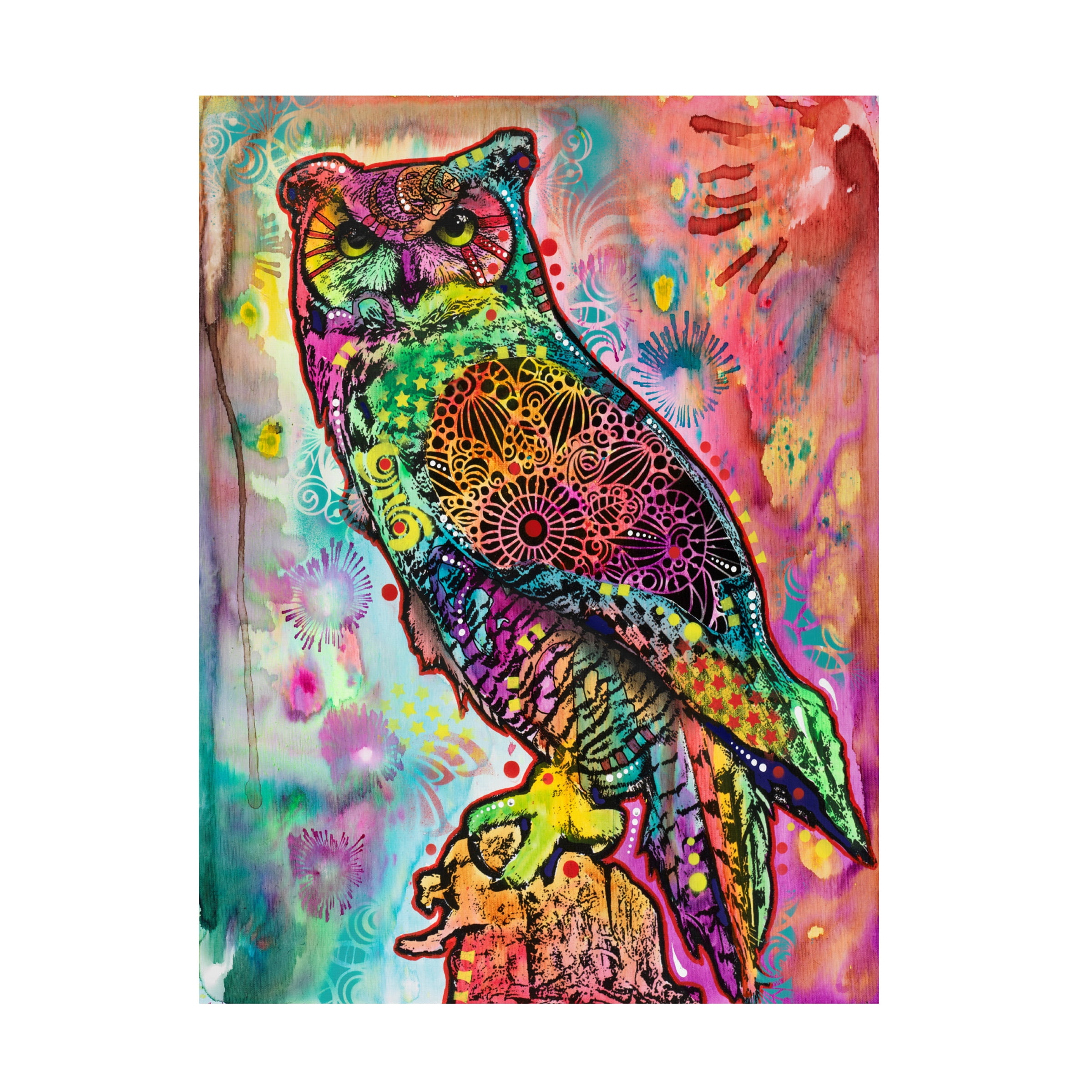 Trademark Fine Art 'Wise Owl' Canvas Art by Dean Russo