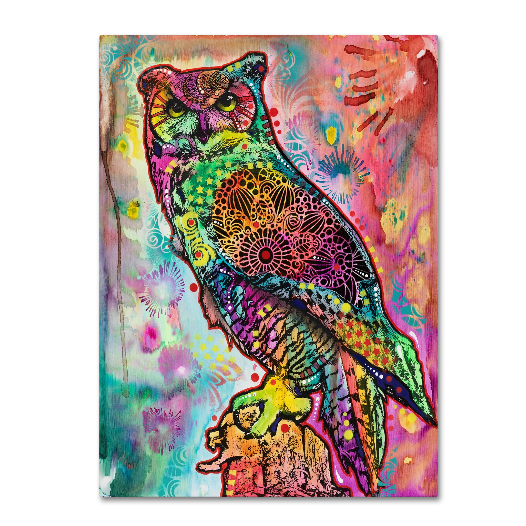 Trademark Fine Art 'Wise Owl' Canvas Art by Dean Russo