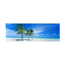 Trademark Fine Art 'Wish You Were Here' Canvas Art by Doug Cavanah