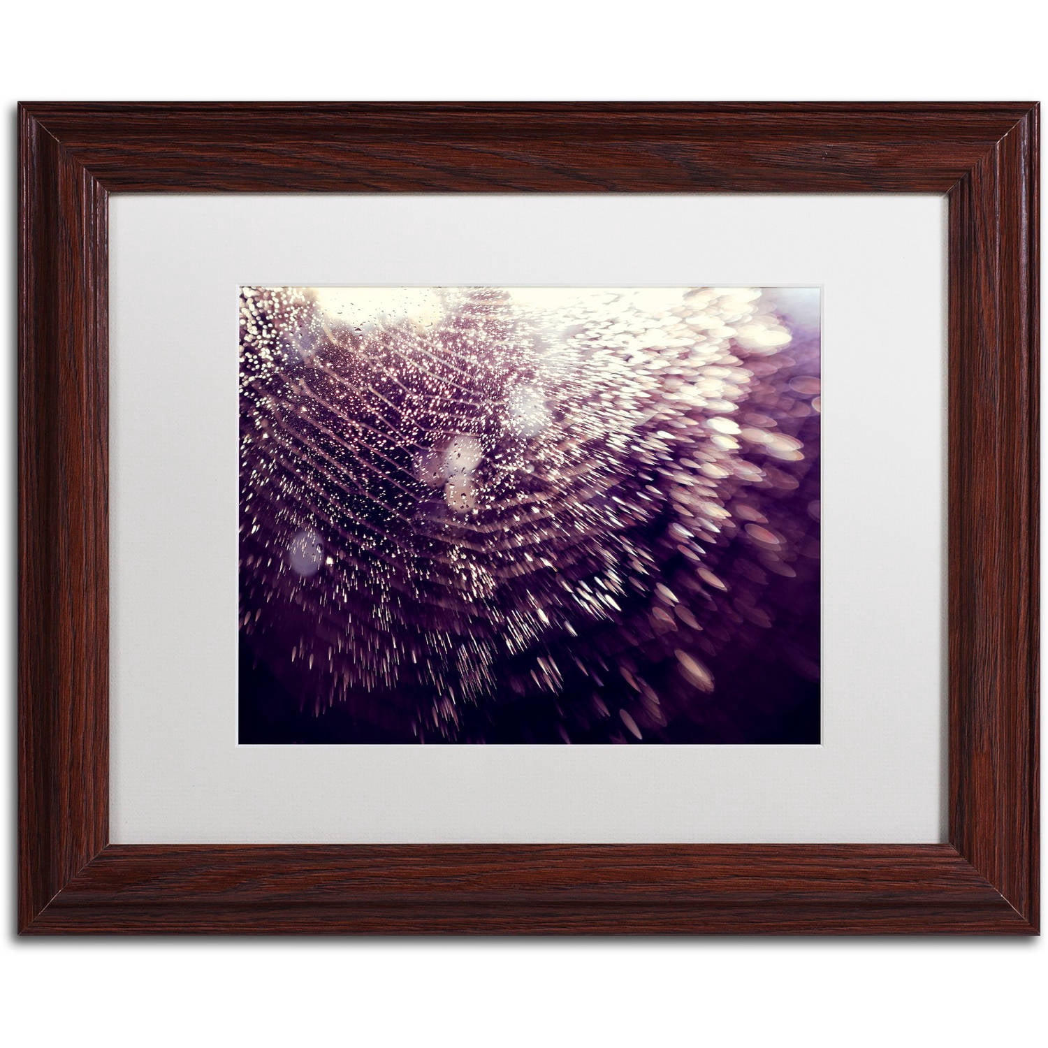 Trademark Fine Art "Wishful Thinking" Canvas Art by Beata Czyzowska Young, White Matte, Wood Frame