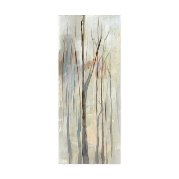 Trademark Fine Art 'Wispy Birches I' Canvas Art by Jennifer Goldberger
