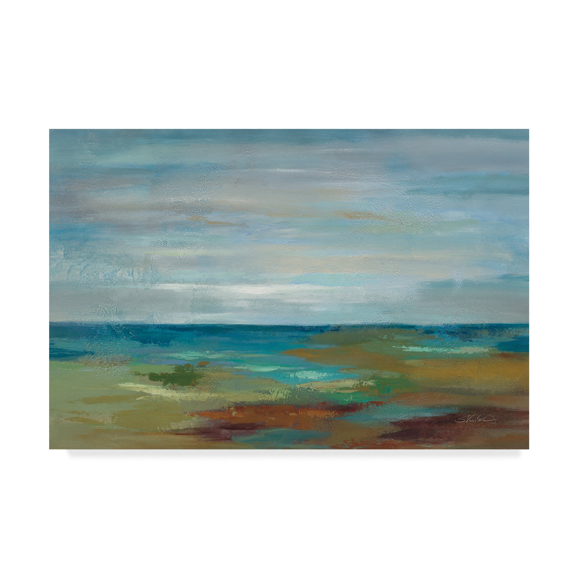 Trademark Fine Art 'Wispy Clouds' Canvas Art by Silvia Vassileva