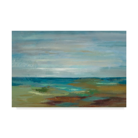 Trademark Fine Art 'Wispy Clouds' Canvas Art by Silvia Vassileva