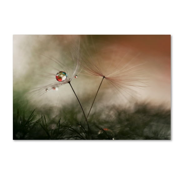 Trademark Fine Art 'With And Without' Canvas Art by Heidi Westum