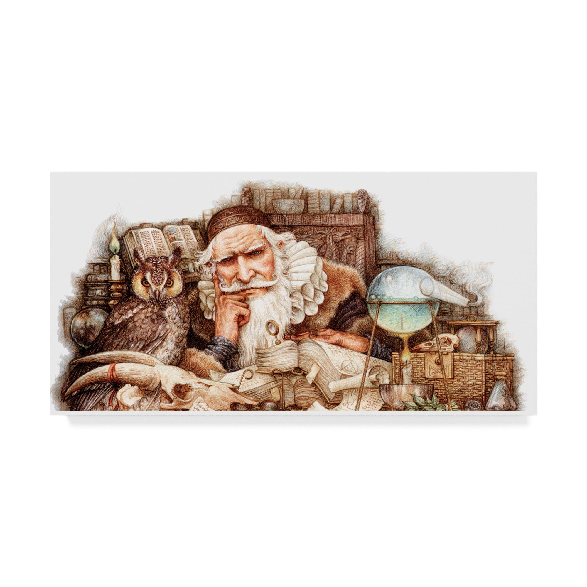 Trademark Fine Art 'Wizardology' Canvas Art by Anne Yvonne Gilbert