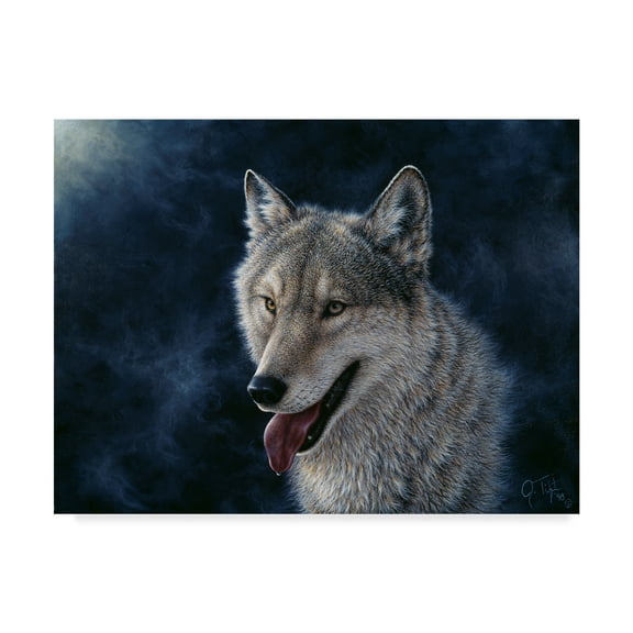 Trademark Fine Art 'Wolf' Canvas Art by Jeff Tift