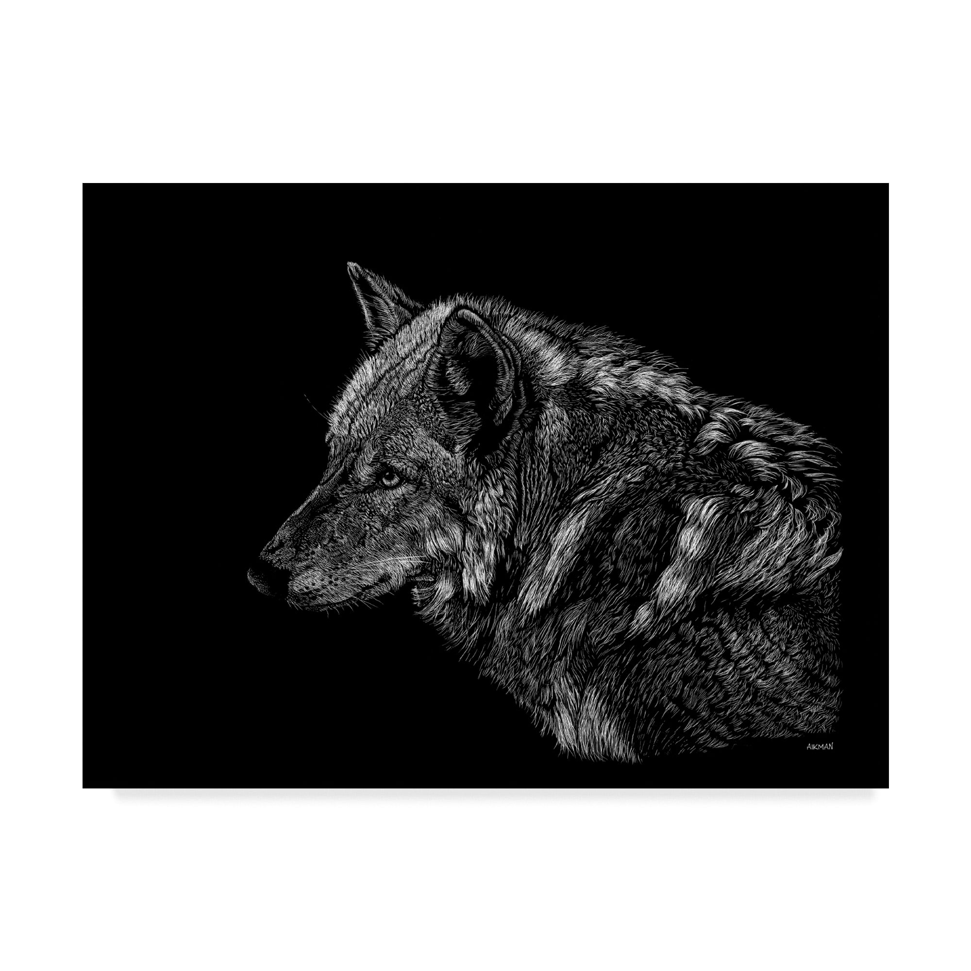 Trademark Fine Art 'Wolf On Black' Canvas Art by Geraldine Aikman