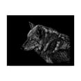 thumbnail image 1 of Trademark Fine Art 'Wolf On Black' Canvas Art by Geraldine Aikman, 1 of 3
