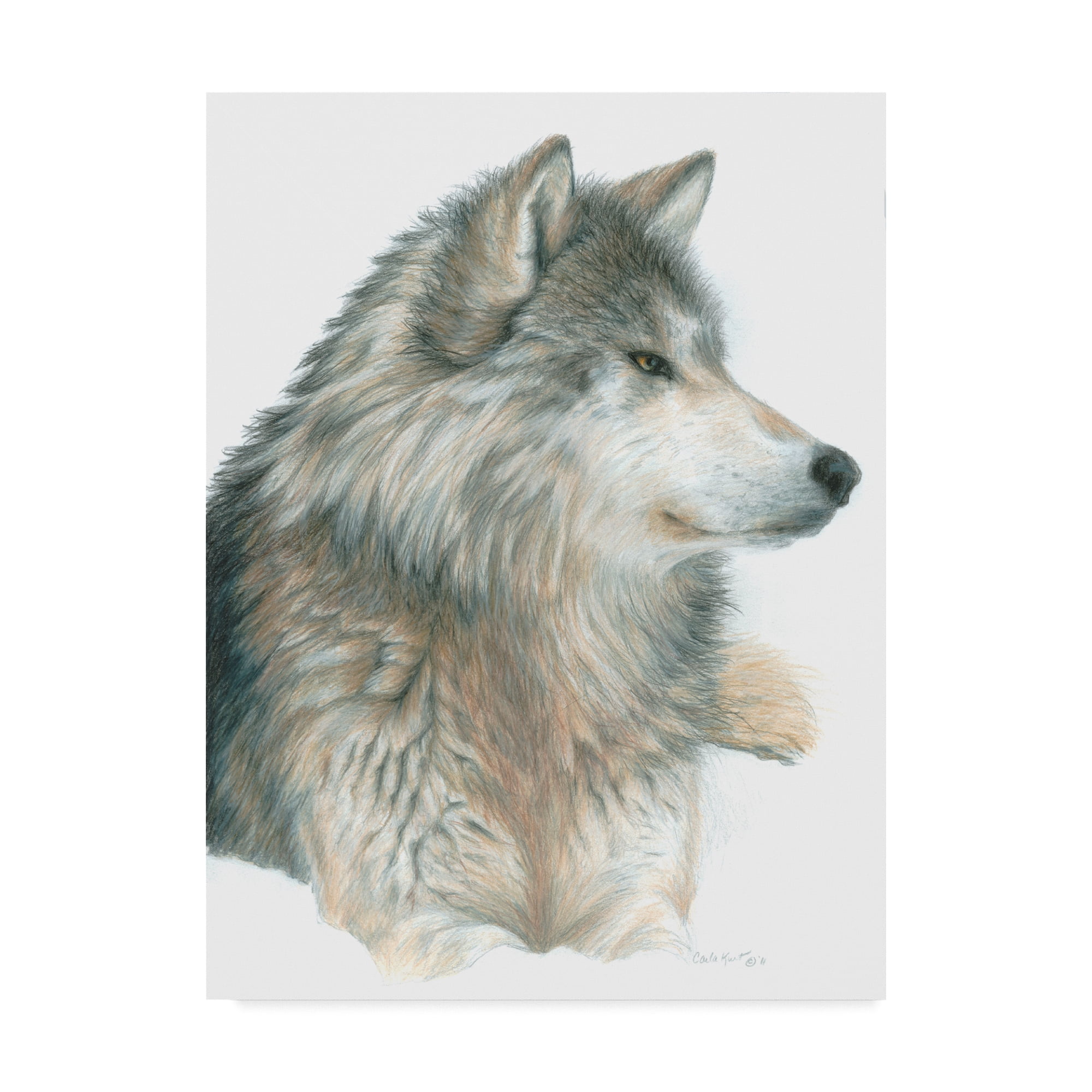 Trademark Fine Art 'Wolf On White' Canvas Art by Carla Kurt