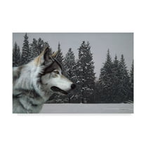 Trademark Fine Art 'Wolf Portrait' Canvas Art by Ron Parker