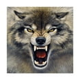 thumbnail image 1 of Trademark Fine Art 'Wolf Roaring' Canvas Art by Harro Maass, 1 of 3