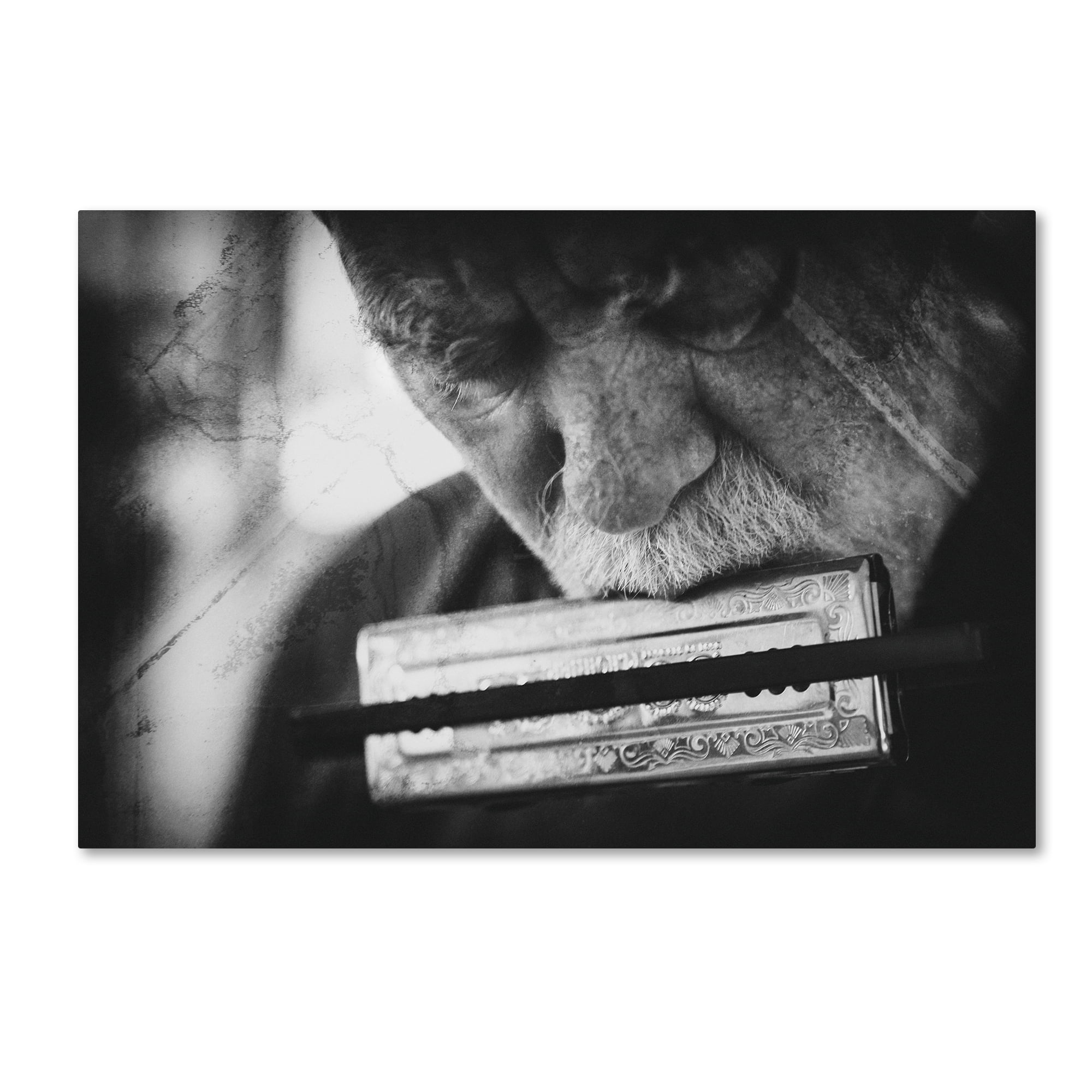 Trademark Fine Art 'Wolf With Harmonica' Canvas Art by Roswitha Schleicher Schwarz