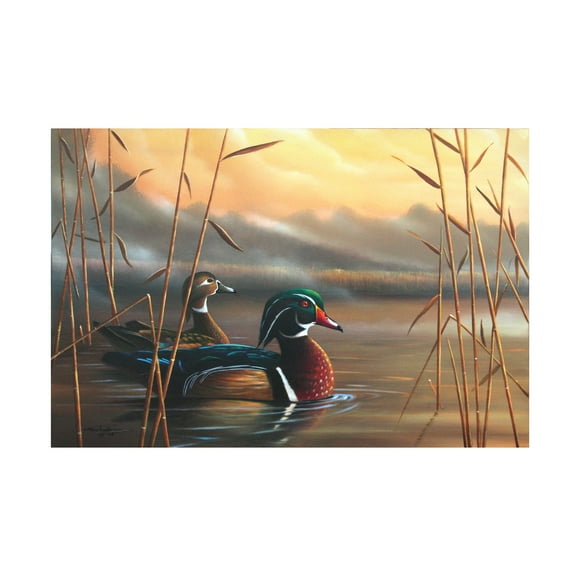 Trademark Fine Art Geno Peoples Wood Ducks Canvas Wall Art - 30x47