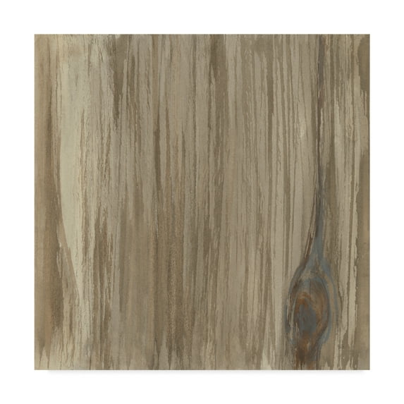 Trademark Fine Art 'Wood Panel IV' Canvas Art by Chris Paschke