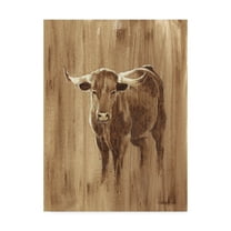 Trademark Fine Art 'Wood Panel Longhorn' Canvas Art by Ethan Harper