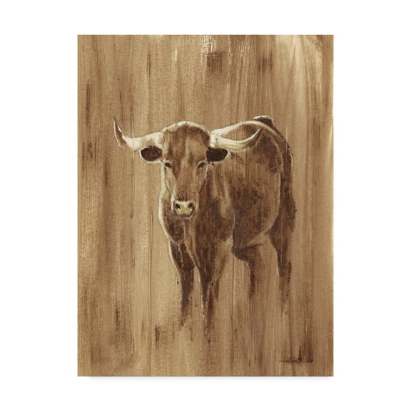 Trademark Fine Art 'Wood Panel Longhorn' Canvas Art by Ethan Harper
