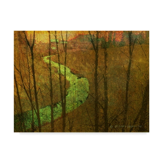 Trademark Fine Art 'Woodblock Stream I' Canvas Art by Chris Vest