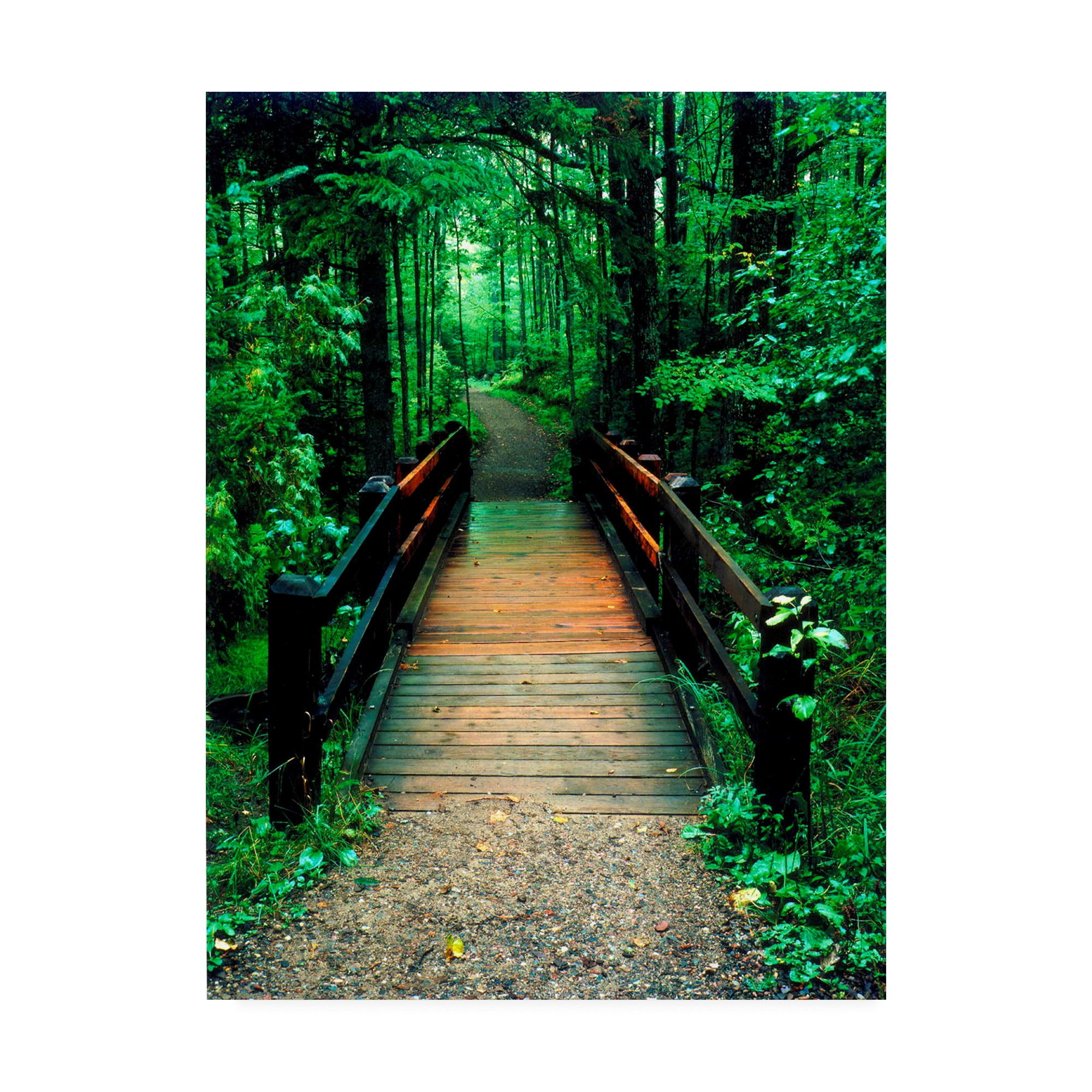Trademark Fine Art 'Wooden Bridge Sundell Michigan' Canvas Art by Monte Nagler