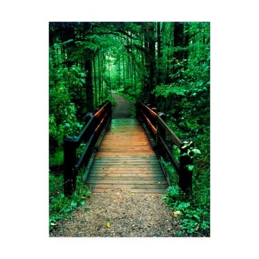 Trademark Fine Art 'Wooden Bridge Sundell Michigan' Canvas Art by Monte Nagler