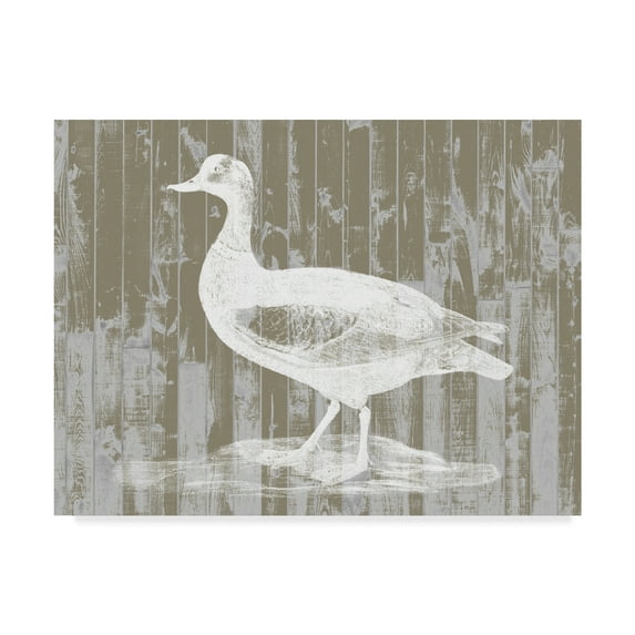 Trademark Fine Art 'Woodgrain Fowl II' Canvas Art by Jennifer Goldberger