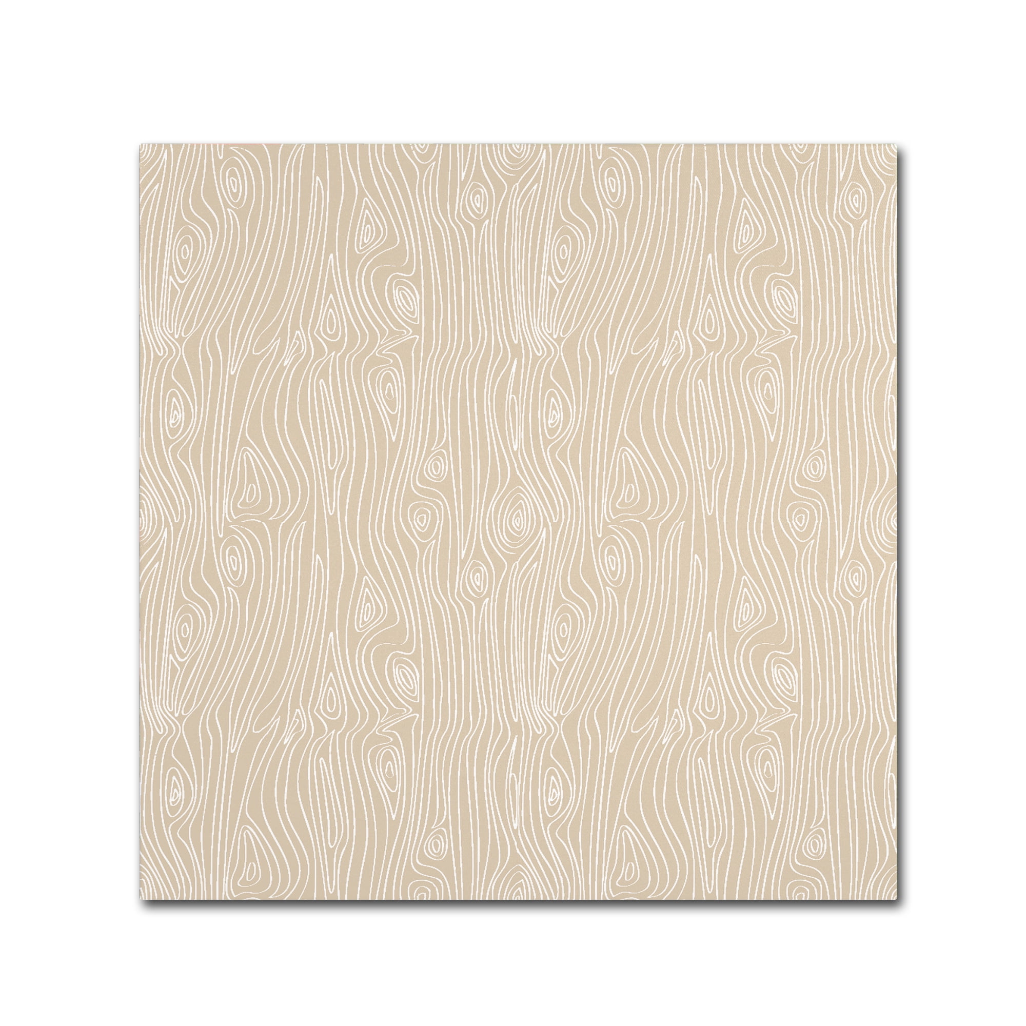 Trademark Fine Art 'Woodgrain Khaki' Canvas Art by Jyotsna Warikoo