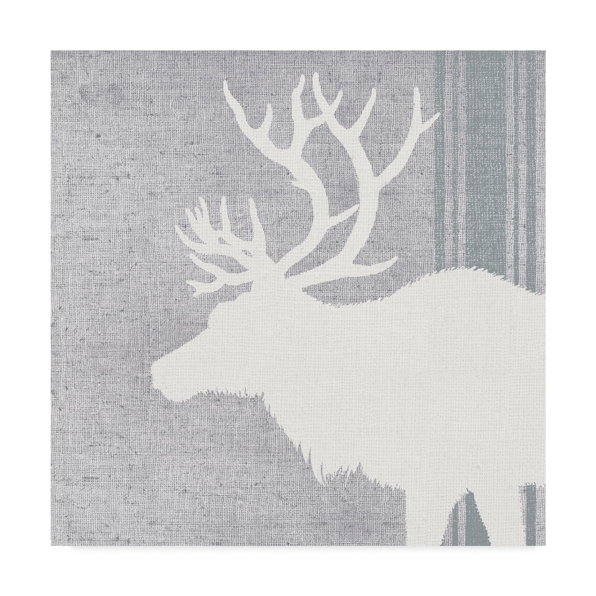Trademark Fine Art 'Woodland Animal II' Canvas Art by Wild Apple Portfolio