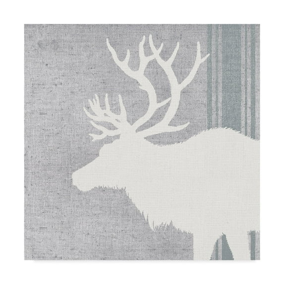 Trademark Fine Art 'Woodland Animal II' Canvas Art by Wild Apple Portfolio