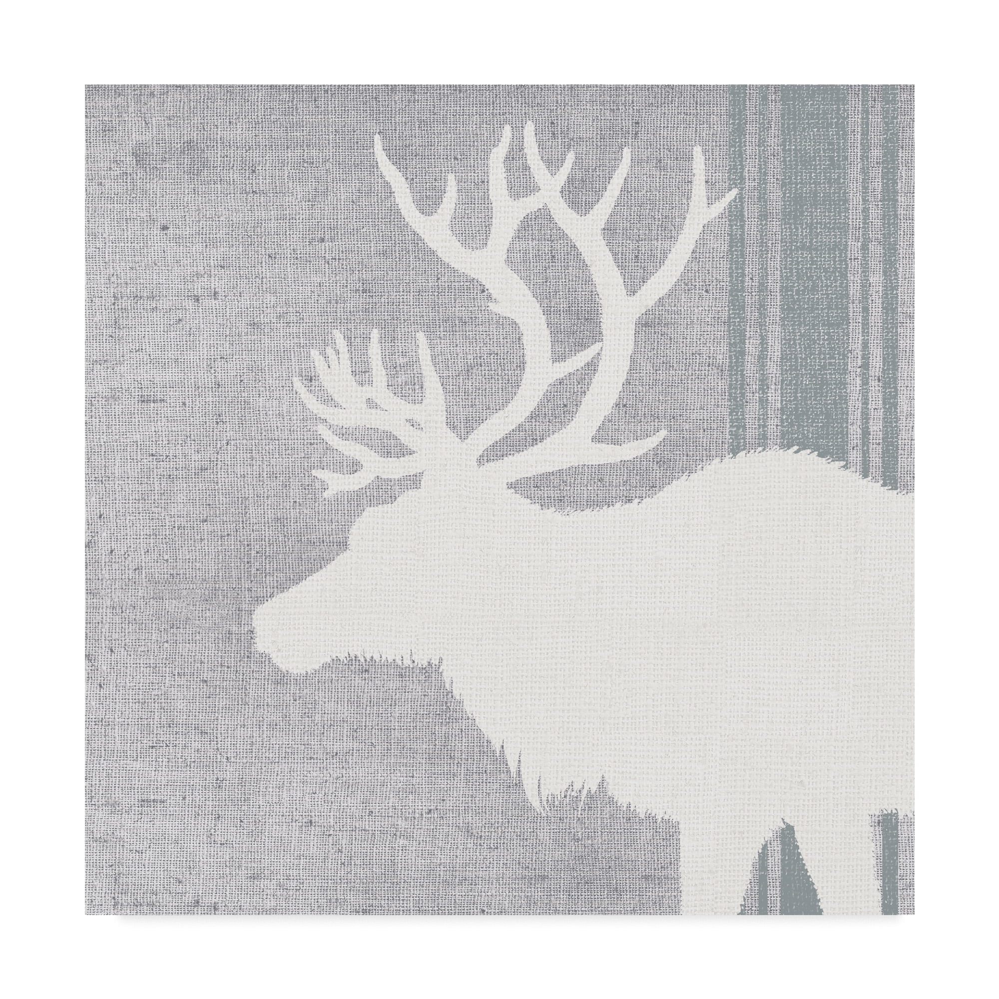 Trademark Fine Art 'Woodland Animal II' Canvas Art by Wild Apple Portfolio