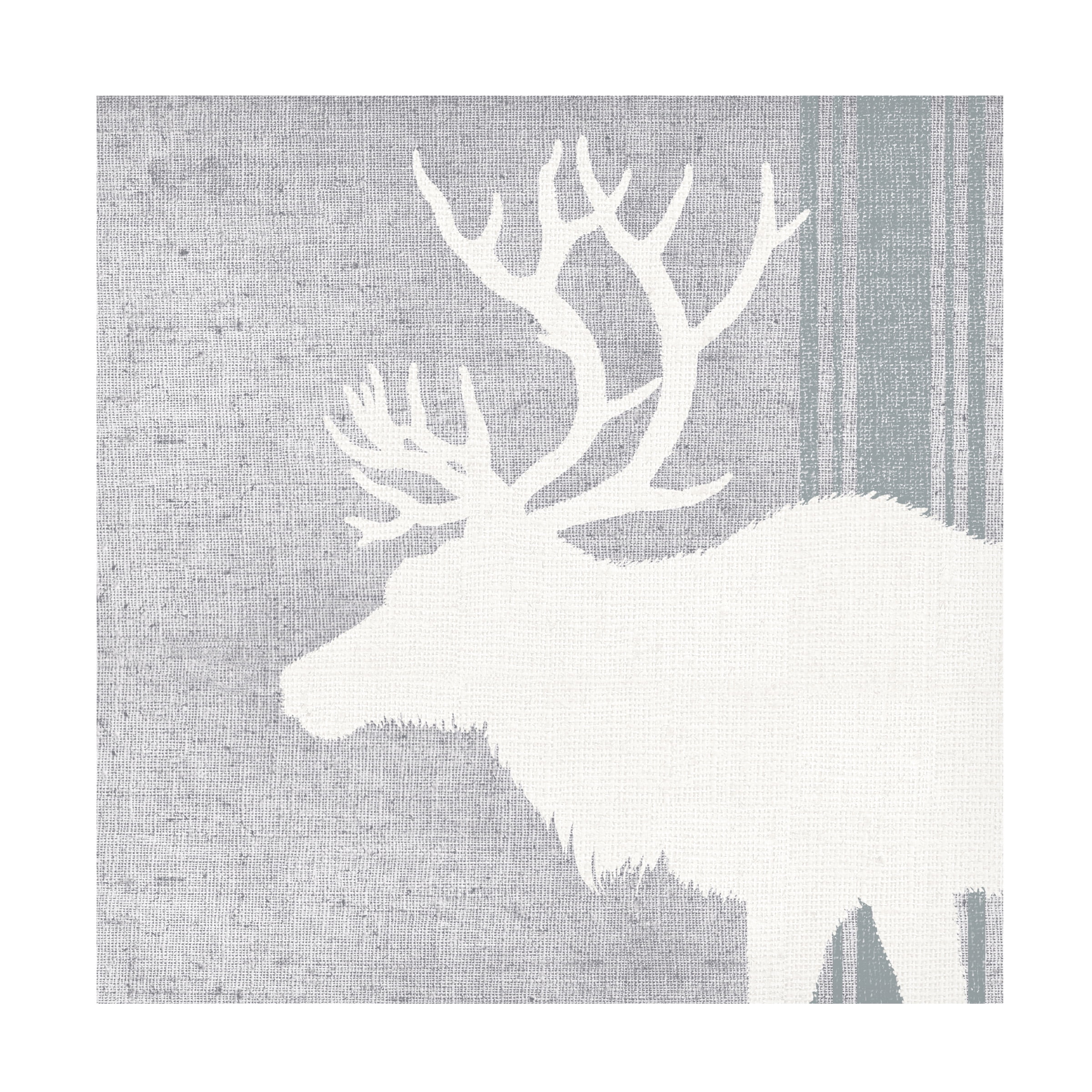 Trademark Fine Art 'Woodland Animal II' Canvas Art by Wild Apple Portfolio