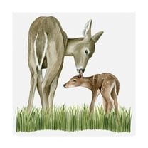 Trademark Fine Art 'Woodland Babes II' Canvas Art by Grace Popp