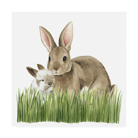 Trademark Fine Art 'Woodland Babes III' Canvas Art by Grace Popp