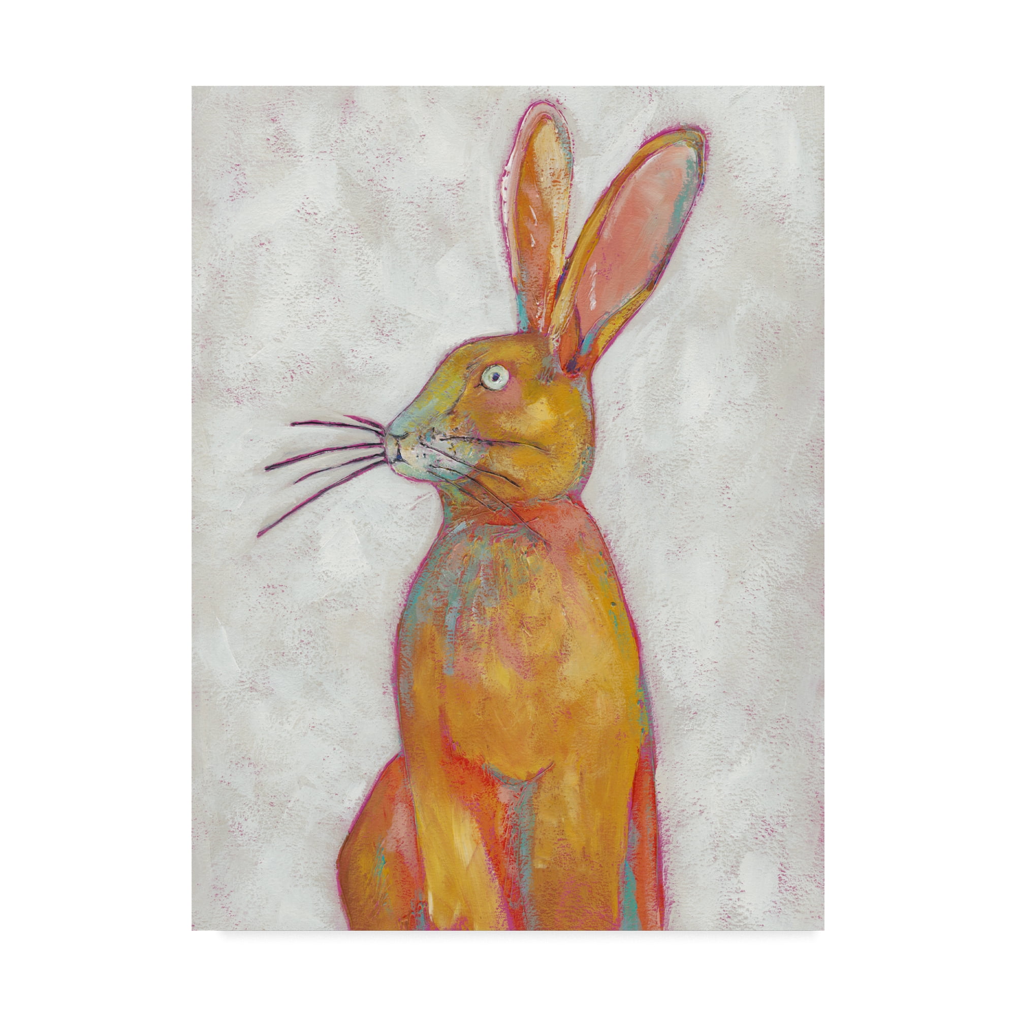 Trademark Fine Art 'Woodland Friends II' Canvas Art by Chariklia Zarris