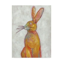 Trademark Fine Art 'Woodland Friends II' Canvas Art by Chariklia Zarris