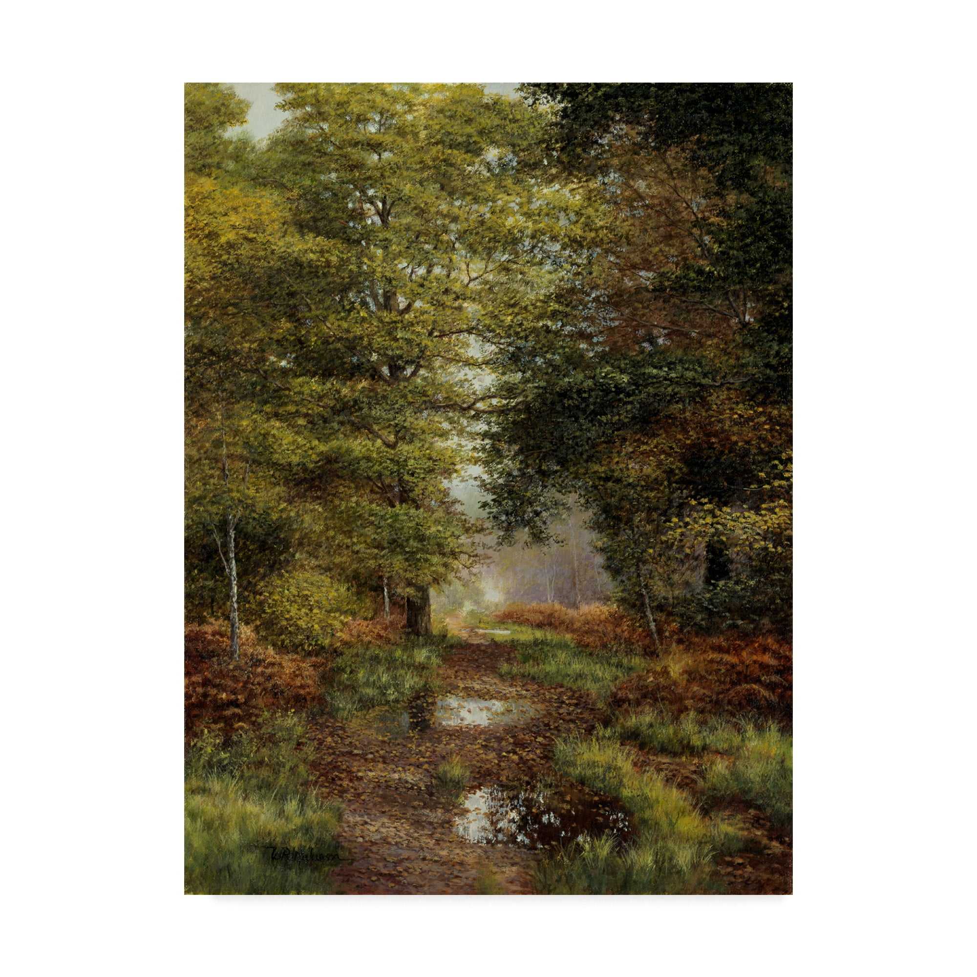 Trademark Fine Art 'Woodland In The Fall' Canvas Art by Bill Makinson