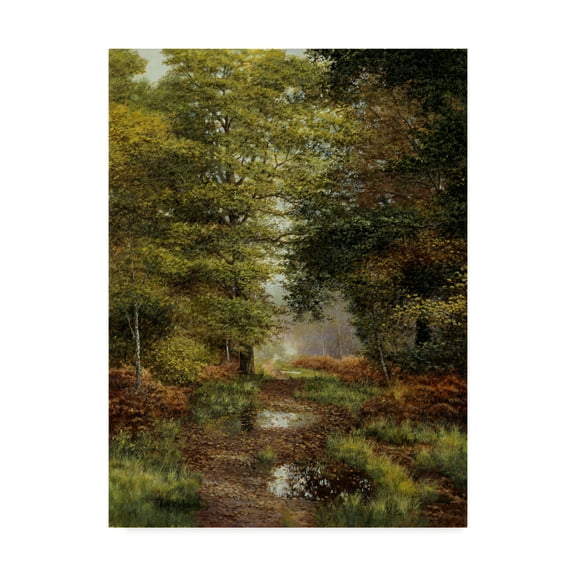Trademark Fine Art 'Woodland In The Fall' Canvas Art by Bill Makinson