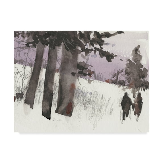 Trademark Fine Art 'Woodland Sketch II' Canvas Art by Samuel Dixon
