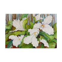 Trademark Fine Art 'Woodland Trillium Close Up' Canvas Art by Joanne Porter